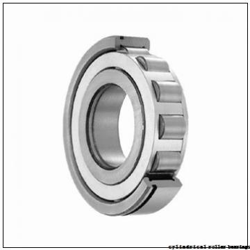 110 mm x 280 mm x 65 mm  NACHI NJ 422 cylindrical roller bearings