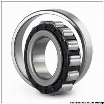 15 mm x 42 mm x 13 mm  ISO NUP302 cylindrical roller bearings