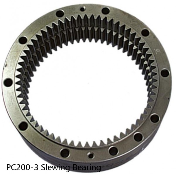 PC200-3 Slewing Bearing