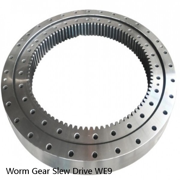 Worm Gear Slew Drive WE9 #1 small image