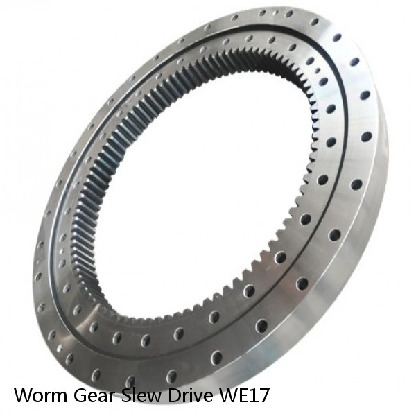 Worm Gear Slew Drive WE17 #1 small image