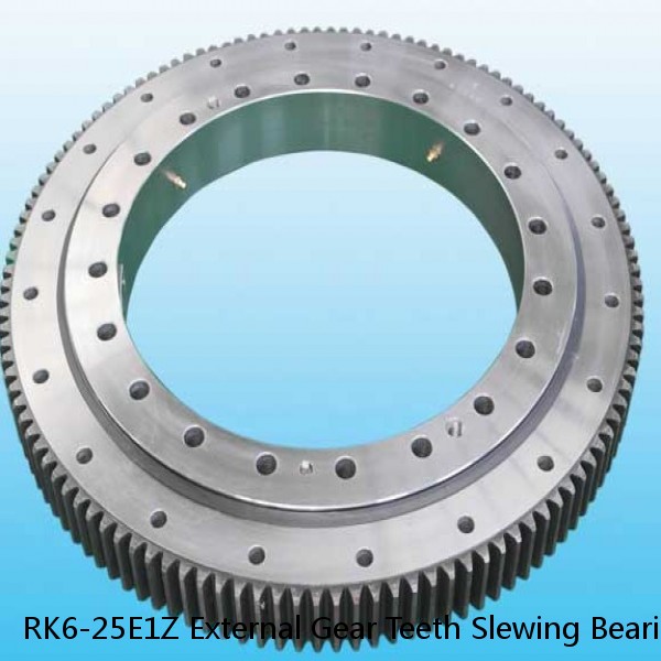 RK6-25E1Z External Gear Teeth Slewing Bearing #1 small image