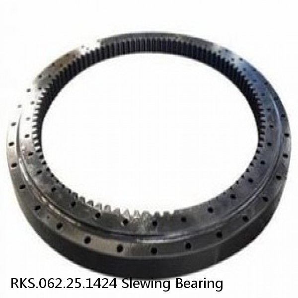 RKS.062.25.1424 Slewing Bearing #1 small image