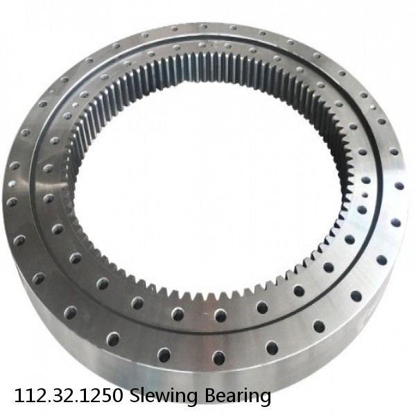 112.32.1250 Slewing Bearing #1 small image