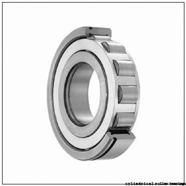100 mm x 180 mm x 46 mm  NKE NU2220-E-MA6 cylindrical roller bearings #2 image