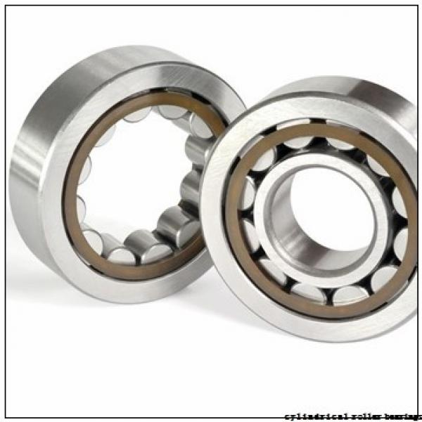 100 mm x 180 mm x 46 mm  NKE NU2220-E-MA6 cylindrical roller bearings #1 image