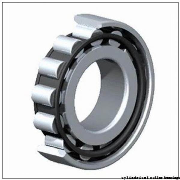 160 mm x 290 mm x 80 mm  NKE NU2232-E-M6 cylindrical roller bearings #3 image