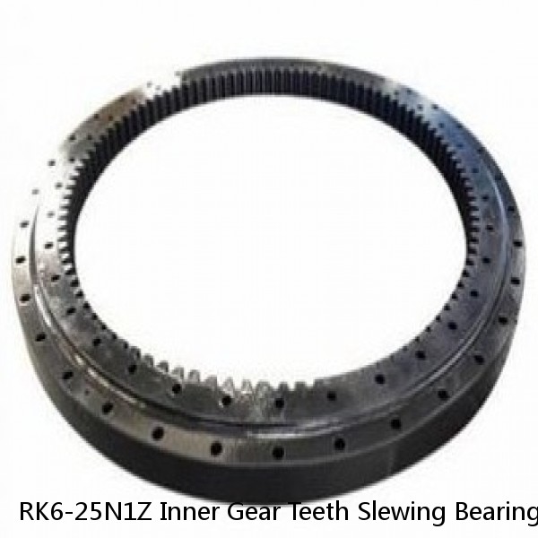 RK6-25N1Z Inner Gear Teeth Slewing Bearing #1 image