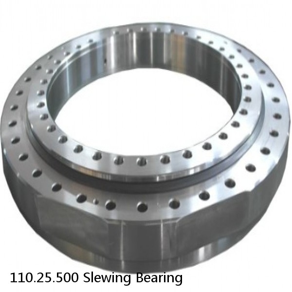 110.25.500 Slewing Bearing #1 image